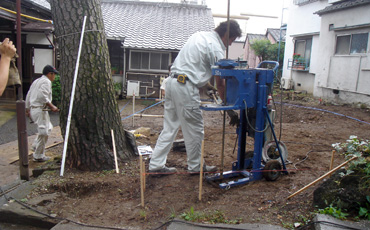 根の位置を調べています。