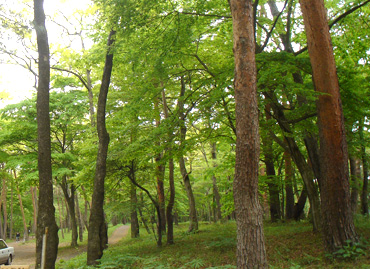 Nasu2009050504